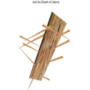 Splintered to Federal Folly: The Secret behind ObamaCare, Federal Jurisdiction and the Death of Liberty ( Ebook )